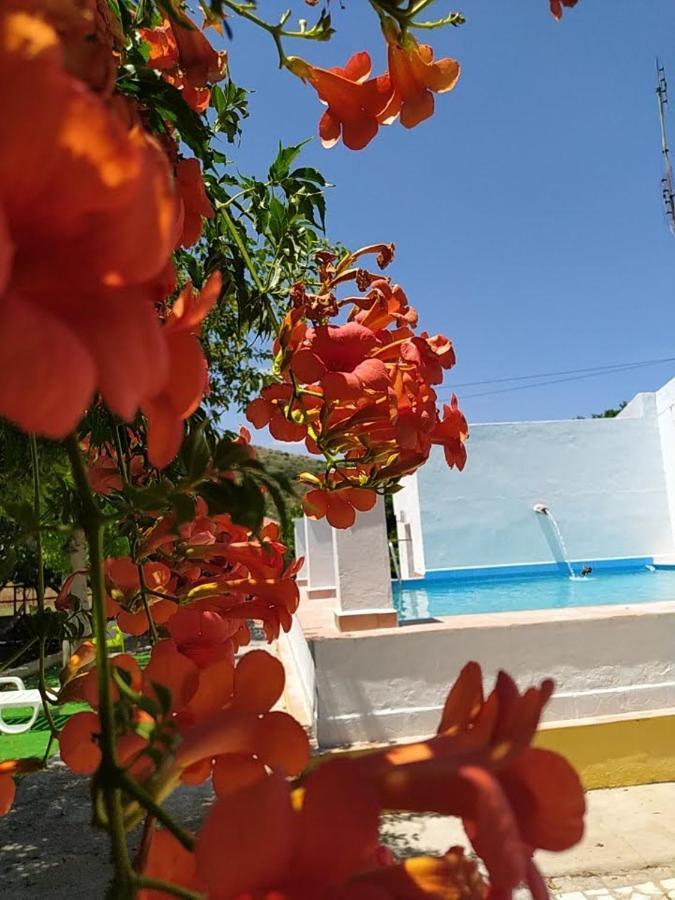 Quinta Da Ponte Das Hortas 3 Элваш Экстерьер фото